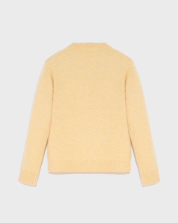 Cashmere round neck jumper